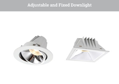 Adjustable_and_Fixed_Downlight